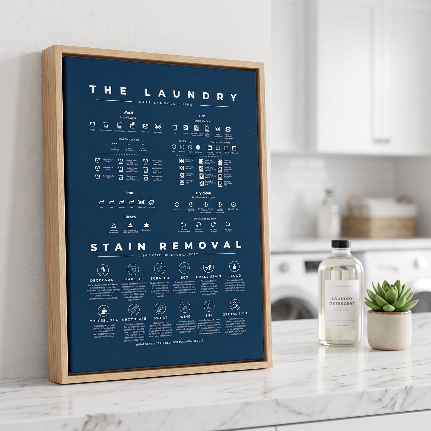 Laundry Room Symbols Sign Guide with Stain Removal Instruction Prints Poster